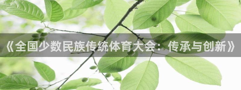 《全国少数民族传统体育大会：传承与创新》