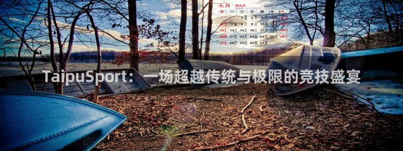 TaipuSport：一场超越传统与极限的竞技盛宴