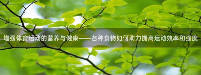 增强体育运动的营养与健康——各种食物如何助力提高运动效率和强度