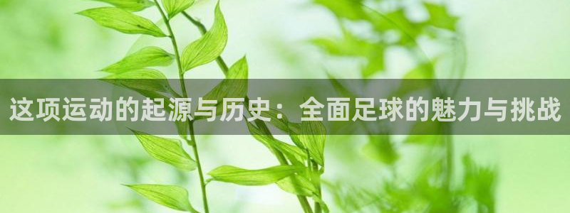 这项运动的起源与历史：全面足球的魅力与挑战