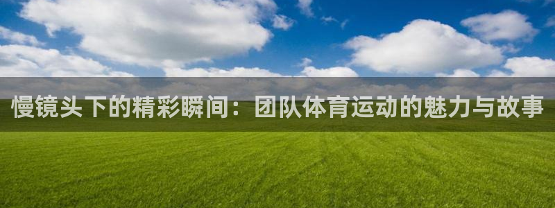 慢镜头下的精彩瞬间：团队体育运动的魅力与故事